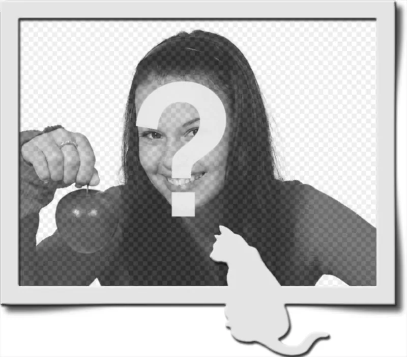 Cadre photo numérique, dans lequel on peut voir un cadre gris, accompagné par la forme d'un chat de la même couleur, stationnés en bas à droite de la..