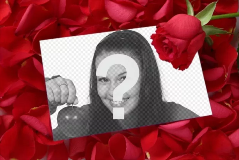 Mettre une image dans une lettre d'amour avec un pétale de rose sur fond rose. Pour compléter le don du Saint-Valentin, une carte que vous pouvez imprimer ou par courriel. Un amour du détail d'une mémoire à la dernière..