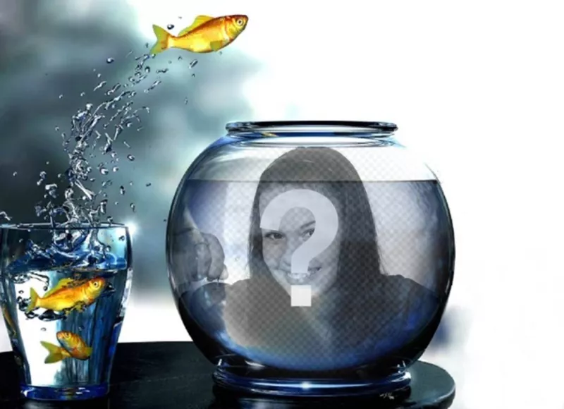 Créer un photomontage avec un réservoir plein deau avec des poissons jaunes sautant dun verre où vous pourrez mettre une..