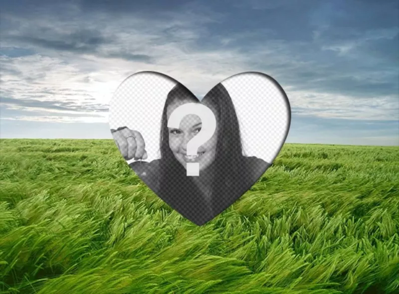 Amour PhotoFrame de mettre un coeur romantique en forme dimage sur un paysage avec un champ de blé vert et bleu..