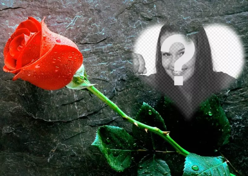 Mettez une photo à lintérieur dun coeur avec une rose à côté de cet effet de photo damour que vous pouvez envoyer comme carte..