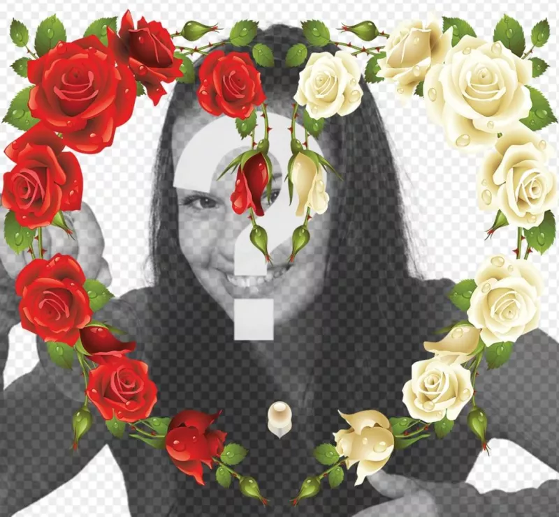 Cadre photo dun coeur avec effet décoratif roses rouges et blanches de mettre vos photos dans un cadre de cœur fait avec des roses rouges et blanches. Un bel effet à ajouter à vos photos une touche originale et..