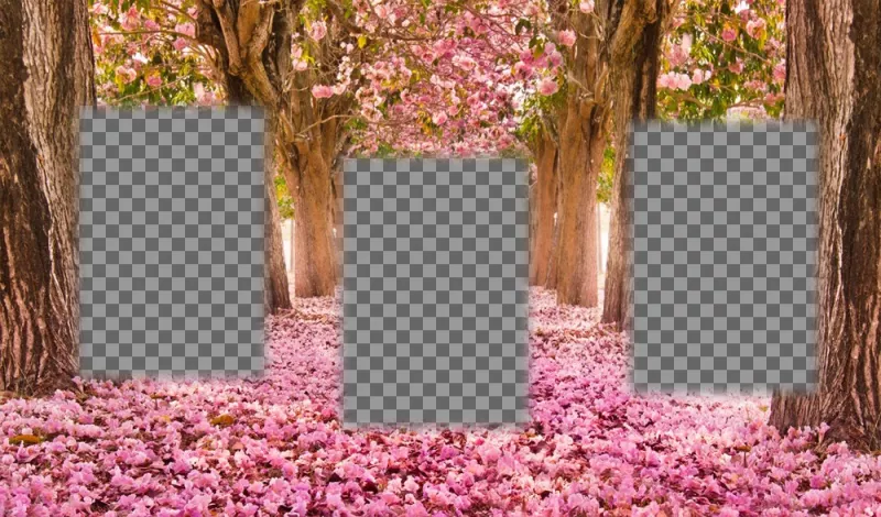 collage gratuit pour éditer avec trois photos et les ajouter à un paysage fleuri ..