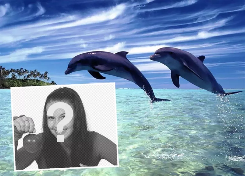 Postale de vacances pour modifier avec votre photo et lajouter avec deux dauphins ..