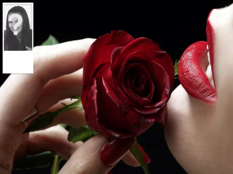 Romantique fond à twitter avec une rose rouge. Personnalisable avec votre propre..