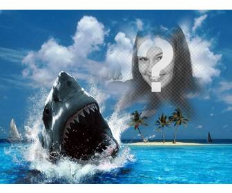 Photomontage dun requin mordre votre photo