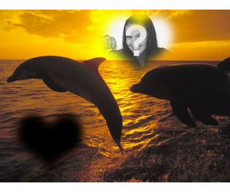 collage pour sauter deux photos forme coeur et les dauphins