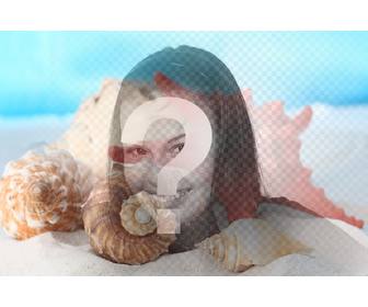 photomontage faire un collage avec des coquillages et des conques dans le sable sur plage sur une photo vous