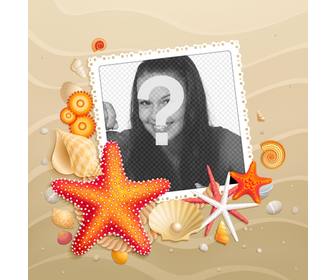 personnalisez votre avatar avec un fond plage avec des etoiles mer lete pour facebook et twitter