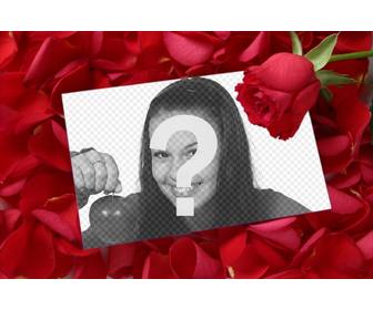 mettre une image dans une lettre dquotamour avec un petale rose sur fond rose pour completer le don du saint-valentin une carte vous pouvez imprimer ou par courriel un amour du detail dquotune memoire derniere distance