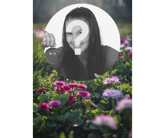 champ fleurs et lherbe au soleil avec un cadre circulaire pour vos photos