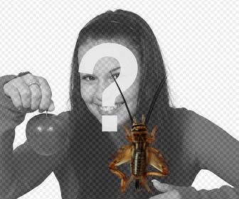 bumper insectes avec longues antennes et dappliquer vos photos jambes