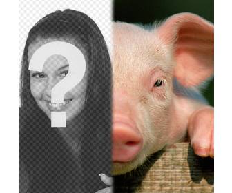 cochon avec votre visage pour faire un photomontage utilisez cet ensemble