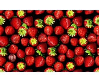 jeu photos pour mettre votre image une image complete fraises