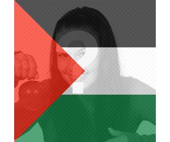 filtre drapeau palestine mettre dans votre photo