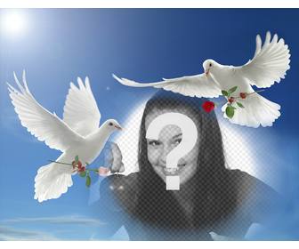 effet photo paix avec deux colombes blanches volent