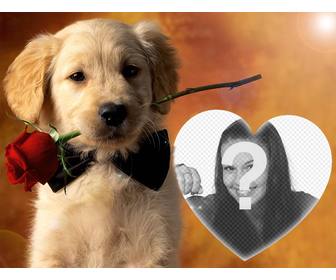 telechargez votre photo cet effet avec un chien doux et une rose
