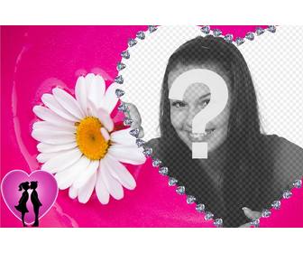 margarita et cadre photo coeur avec le fond rose pour mettre votre image fond