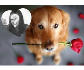 romantic effet photo avec un chien et une rose pour ajouter votre photo