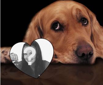 amour photomontage avec un chien dappel doffres pour ajouter votre photo un