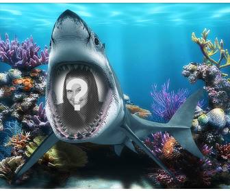 votre photo dans bouche dun requin sous mer avec ce photomontage amusant