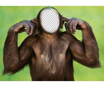 photomontage du singe qui ne lecoute pas modifier avec votre photo