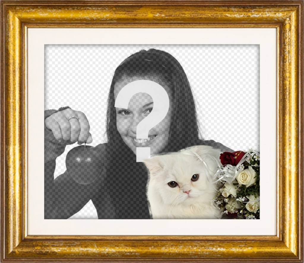 Cadre photo or avec un chat persan blanc et des roses rouges et blanches pour mettre votre photo damour avec votre copain ou..