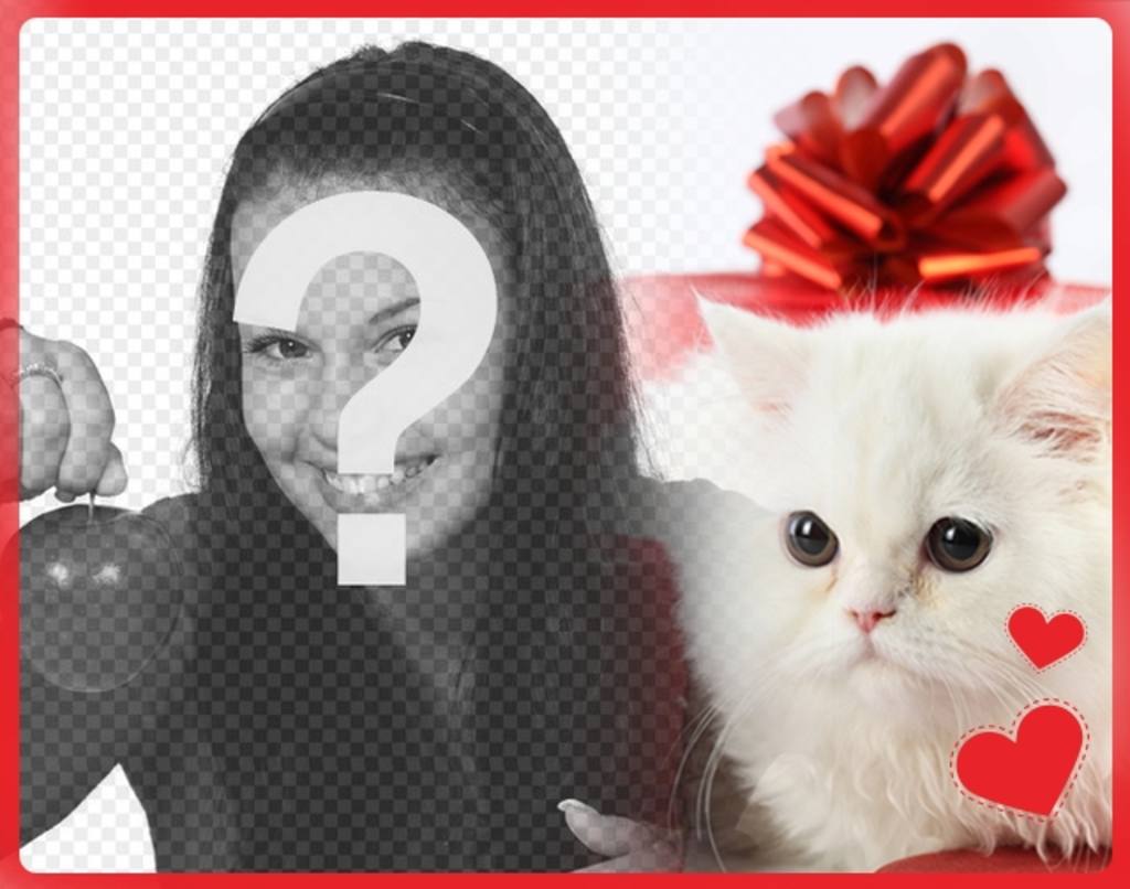 Carte postale romantique avec chaton persan blanc avec des coeurs en face dune boîte-cadeau et la photo que vous téléchargez en..