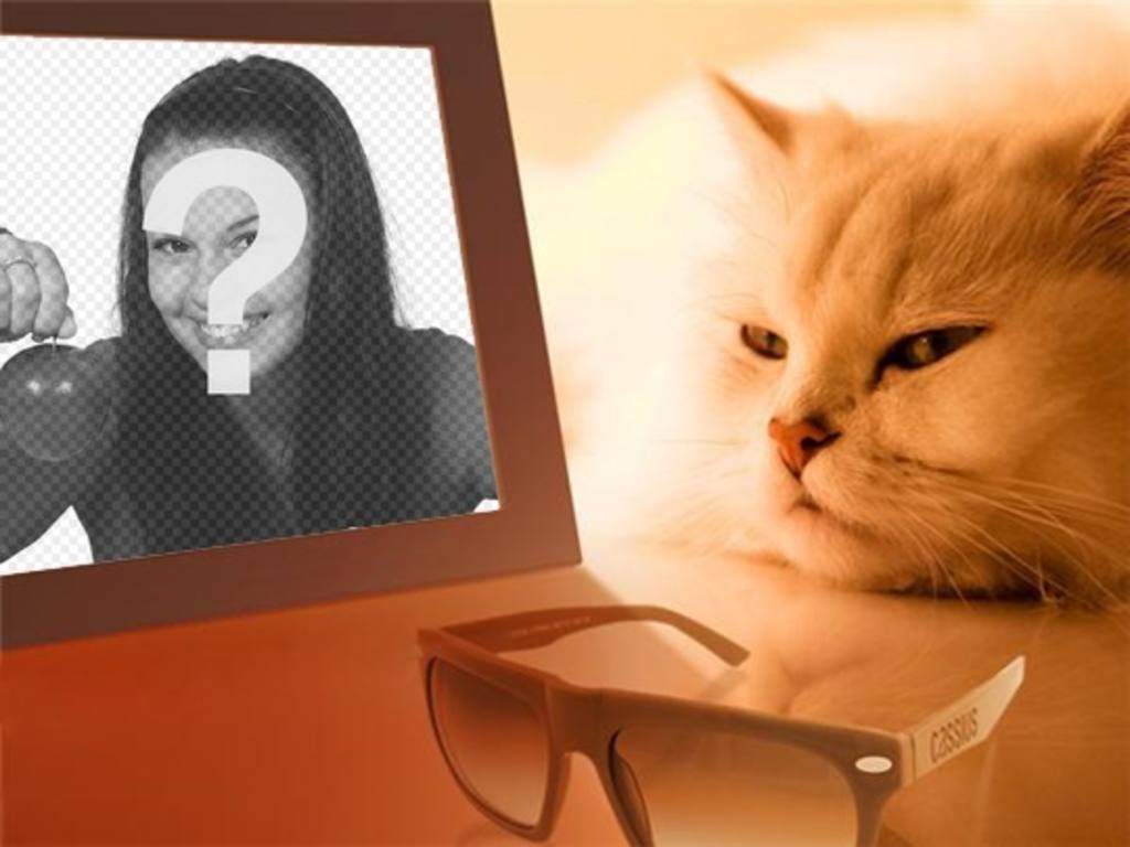 Photomontage dun chat sennuie voir votre photo dans lequel vous mettez limage que vous..