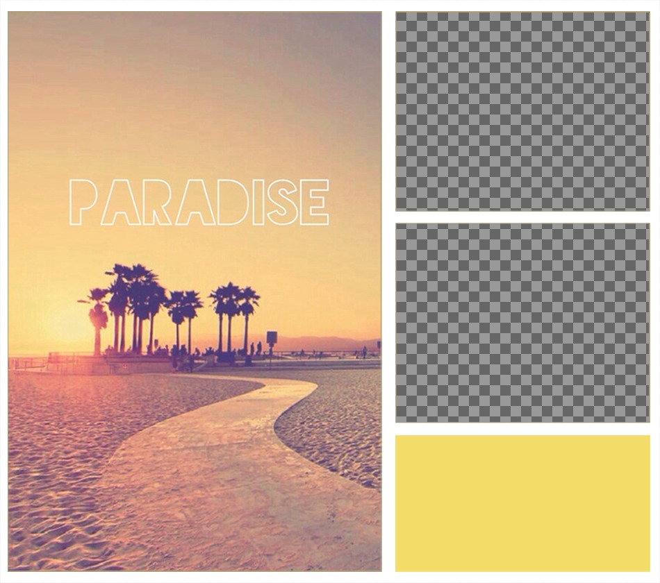 Cadre pour deux photos avec un fond indépendant, un paradis de palmiers. ..