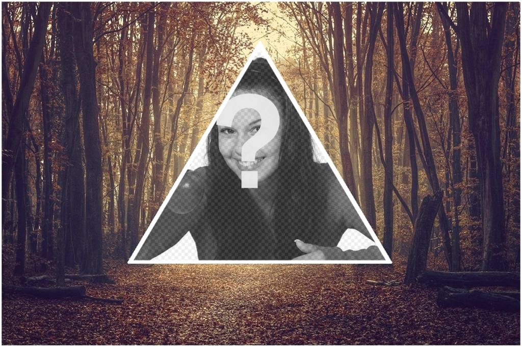 Collage de fond de triangulaire hippie de lair sur un fond darbres. ..