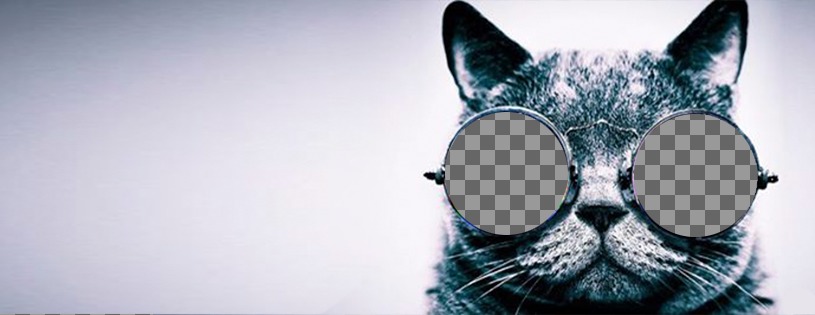 Personnalisable photo de couverture pour Facebook avec un chat avec des lunettes de soleil ..