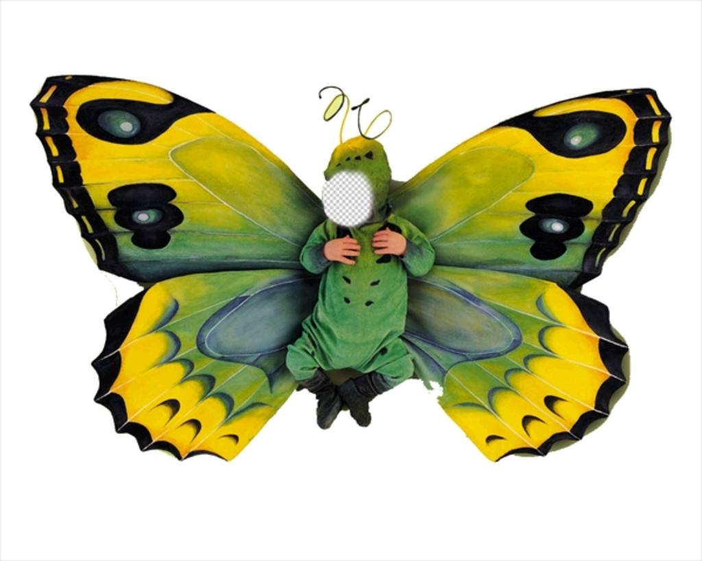 Photomontage dun costume de papillon pour les petits enfants ..