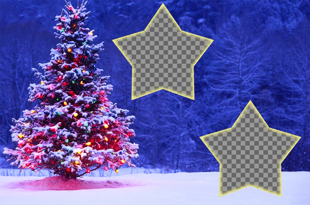 Collage de Noël avec un arbre à mettre deux photos. ..