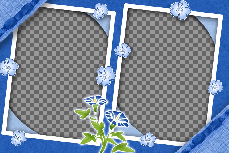 Cadre pour deux photos avec des fleurs lilas et le fond de la même..