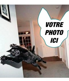 Photomontage chat
