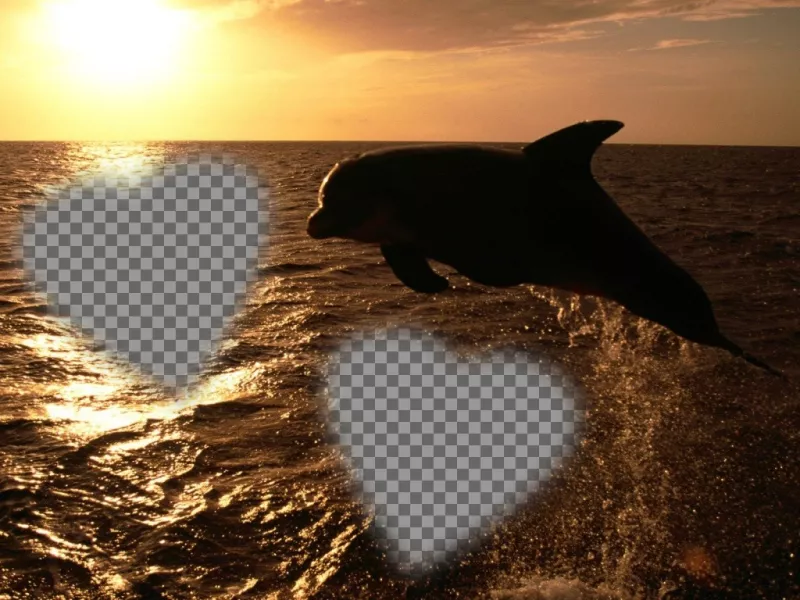 Carte personnalisable pour deux photos sous forme de cœurs et un dauphin. ..