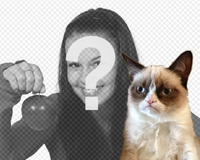 Photomontage avec Grumpry chat, meme qui est devenu célèbre partout sur..