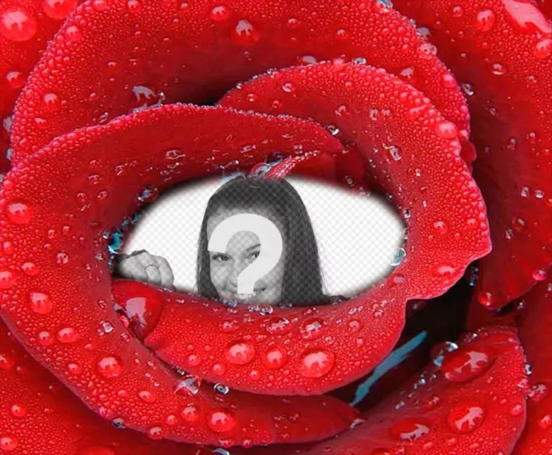Photomontage avec photo enfermé dans une rose fraîche. ..