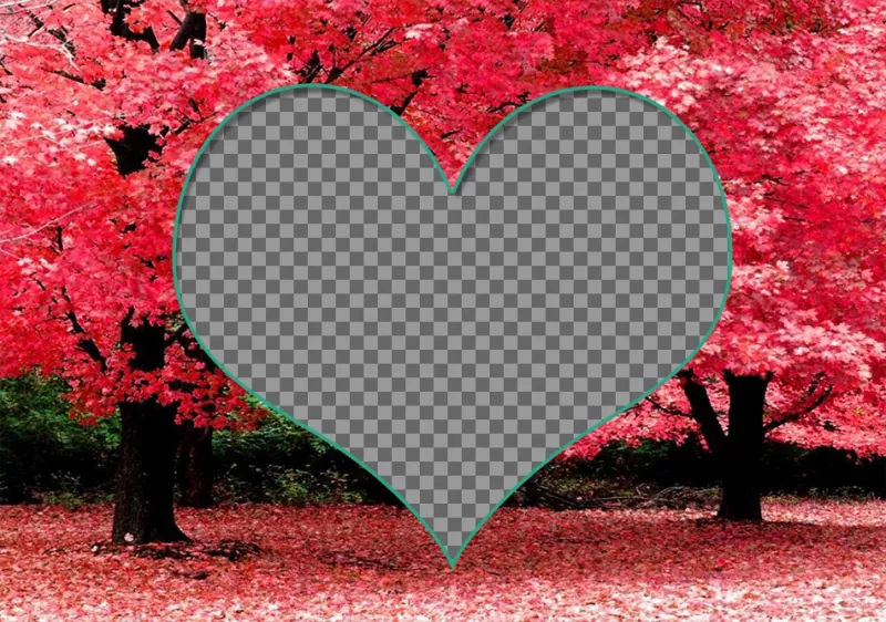 Cadre pour deux photos à lintérieur dun coeur sur les cerisiers en fleurs. ..