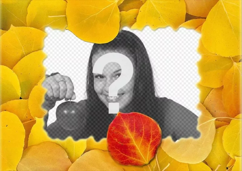 Photomontage dun cadre photo avec des feuilles sèches. ..