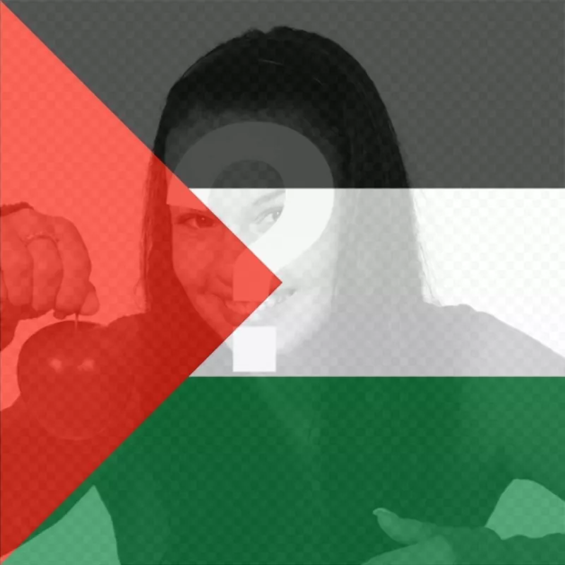 Filtre de drapeau de la Palestine à mettre dans votre photo. ..
