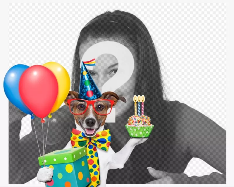 Effet photo dun chien avec un gâteau danniversaire et des ballons ..