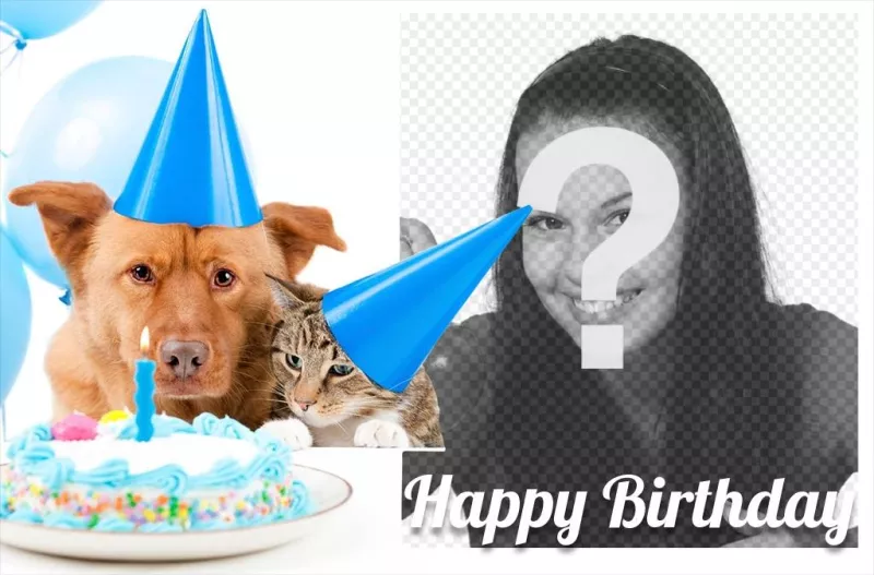 Carte Danniversaire Douce Avec Un Chien Et Un Chat Pour Une