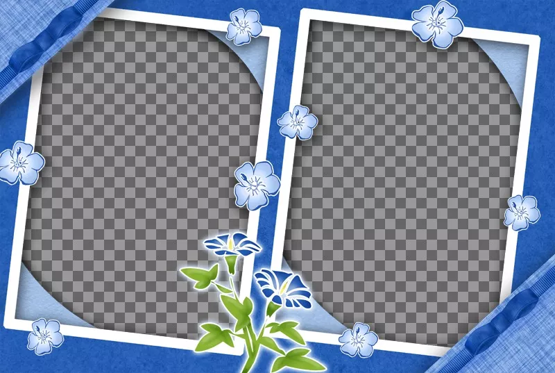 Cadre pour deux photos avec des fleurs lilas et le fond de la même..