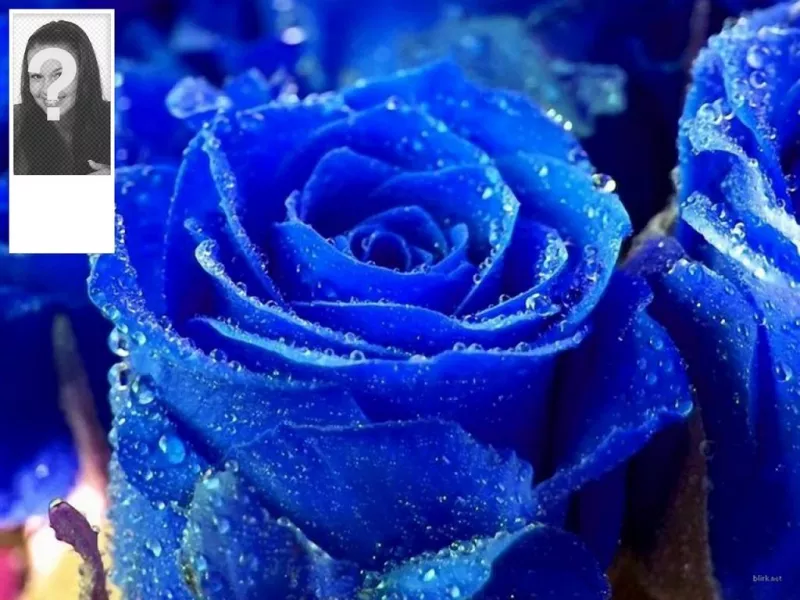 Personnalisez votre profil Twitter avec ce fonds pour le bleu rose twitter et votre propre photo sur le..