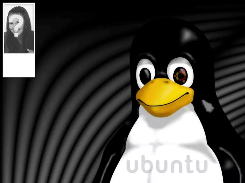 Contexte pour twitter de la mascotte de Linux Tux où vous pouvez mettre votre..