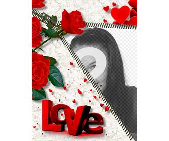 cadre photo ligne love  qui comprend photo vous voulez tout ouvrant une fermeture glissiere roses ornent assemblage