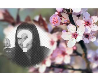 photomontage sur un fond flou fleurs cerisier et un semi-photoframe arrondi placer votre photo