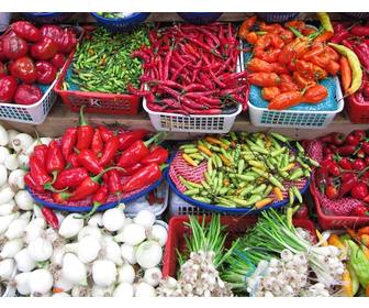 jouez avec vos enfants pour trouver photo les legumes et les eduquer squotamusant apprendre manger correctement